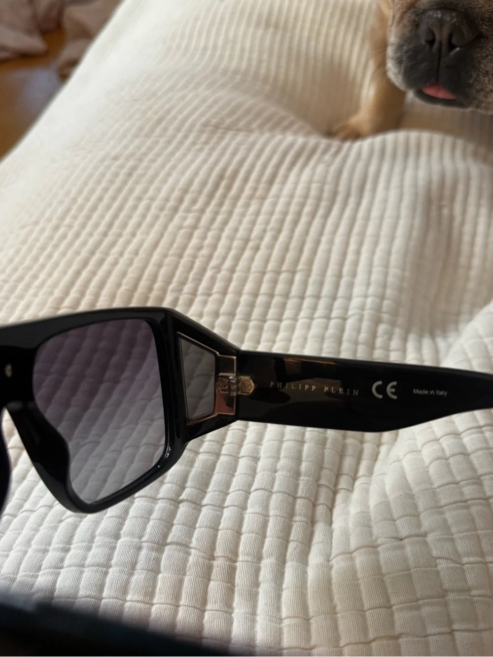 Philipp Plein Black Gradient Oversized Shield Sunglasses